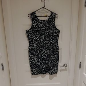 J Crew Factory Dress